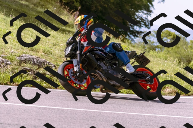 202509071040-_DSC8944_d1_