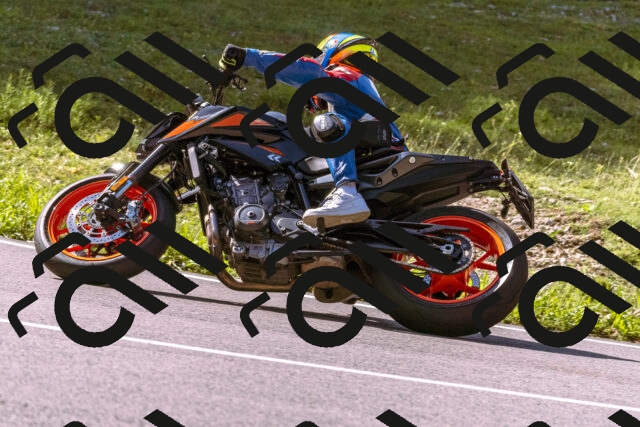 202509071040-_DSC8946_d1_