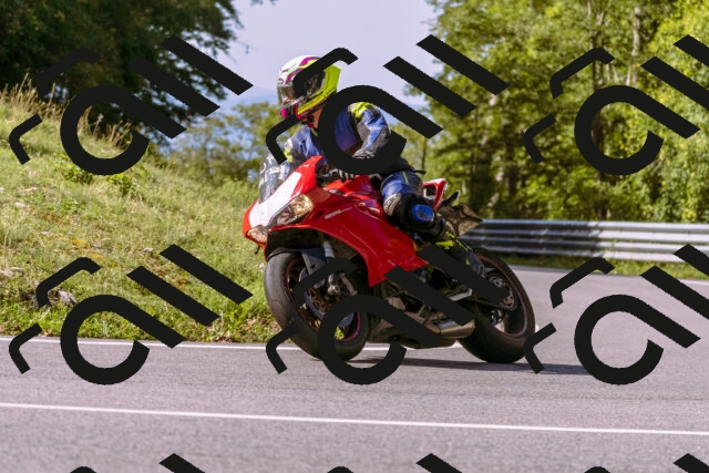 202509071040-_DSC8947_d1_