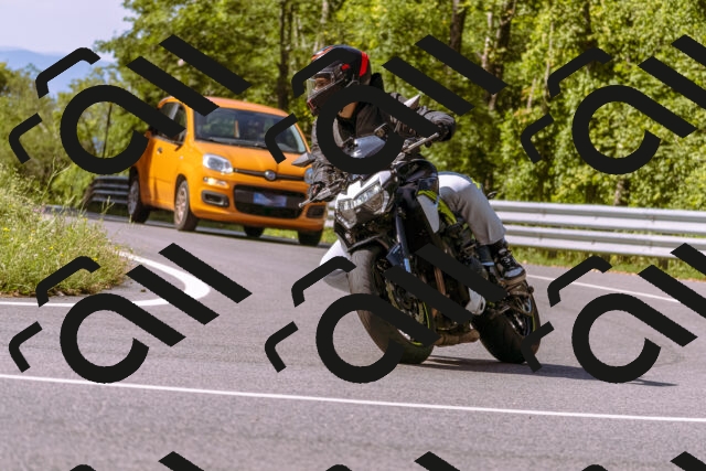 202509071041-_DSC8952_d1_