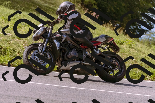 202509071045-_DSC8975_d1_