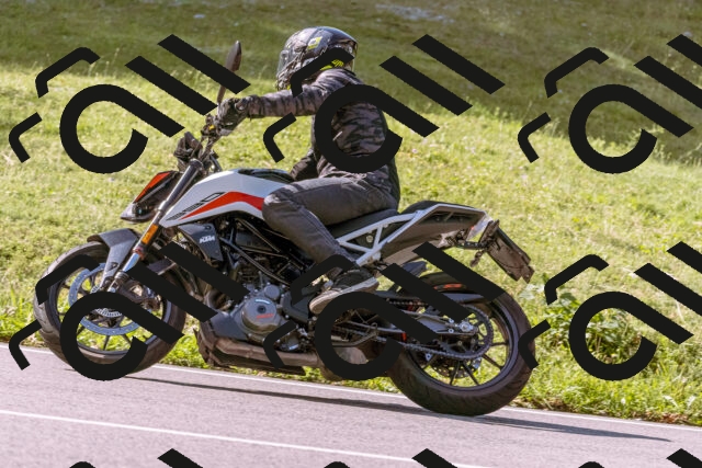 202509071045-_DSC8978_d1_