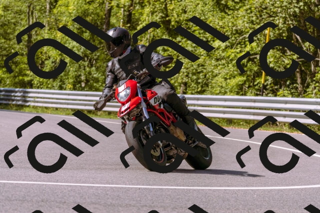 202509071049-_DSC8983_d1_