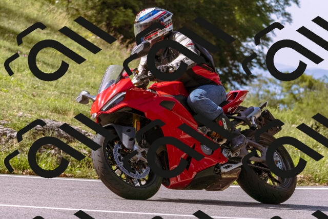 202509071051-_DSC8991_d1_