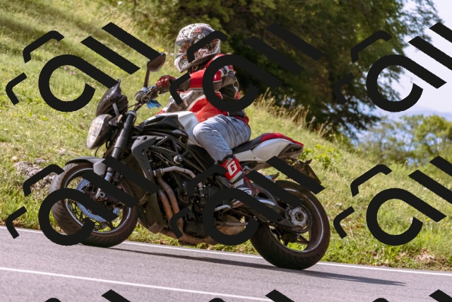 202509071052-_DSC9009_d1_