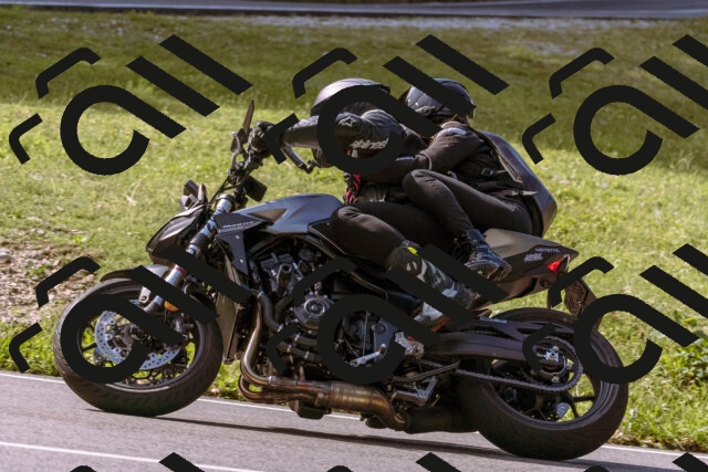 202509071053-_DSC9013_d1_