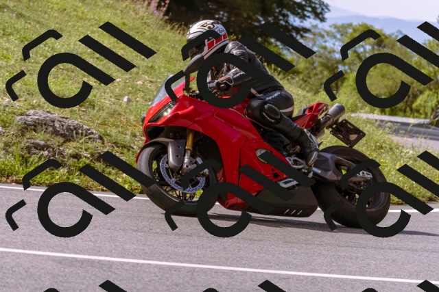 202509071053-_DSC9021_d1_