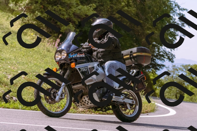 202509071055-_DSC9034_d1_