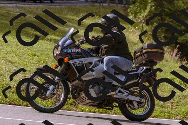 202509071055-_DSC9035_d1_