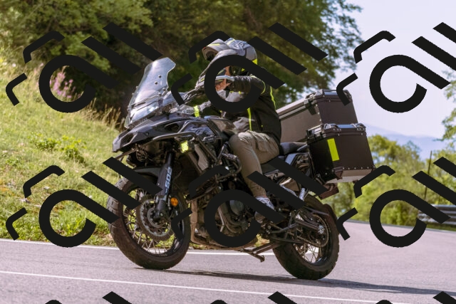 202509071056-_DSC9038_d1_