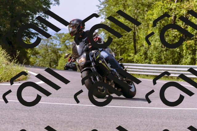 202509071056-_DSC9040_d1_