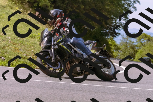 202509071056-_DSC9041_d1_