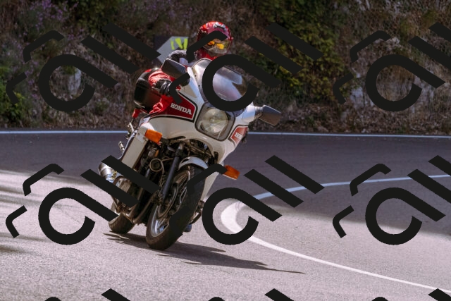 202509071057-_DSC9046_d1_