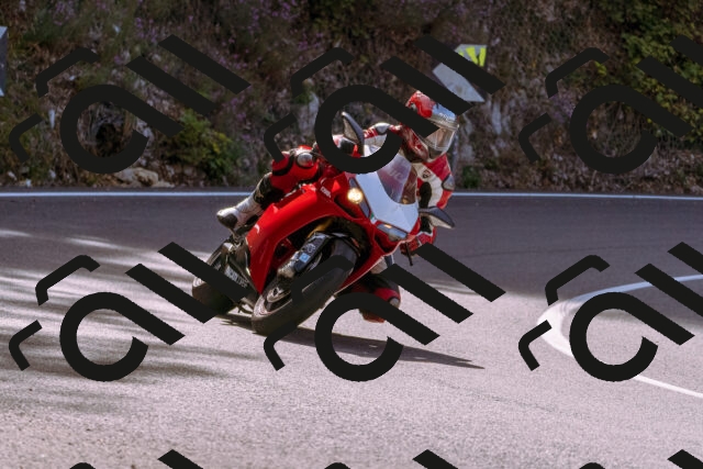 202509071057-_DSC9050_d1_