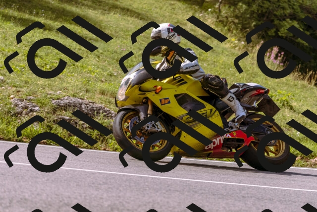 202509071058-_DSC9060_d1_