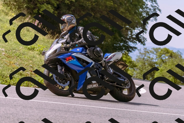 202509071058-_DSC9062_d1_