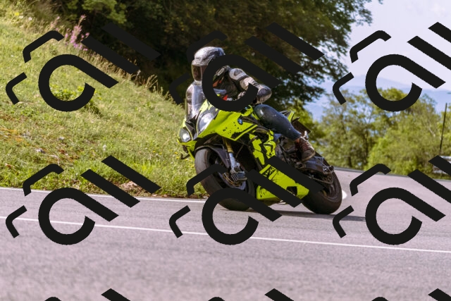 202509071100-_DSC9074_d1_