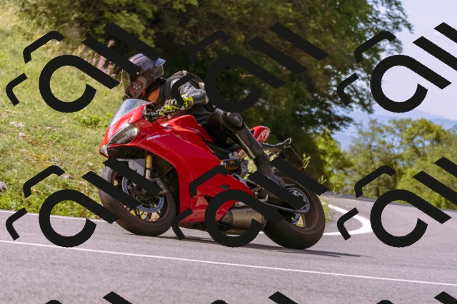 202509071100-_DSC9086_d1_