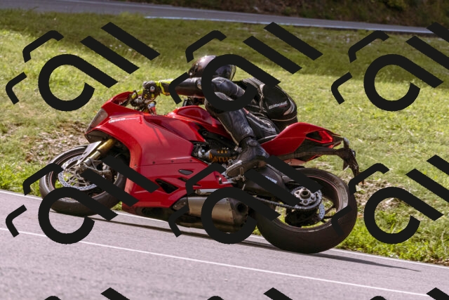 202509071100-_DSC9088_d1_