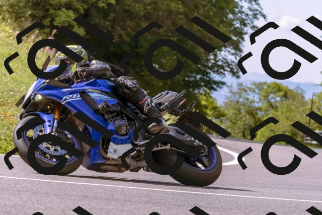 202509071102-_DSC9100_d1_