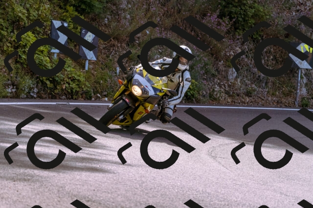 202509071105-_DSC9127_d1_