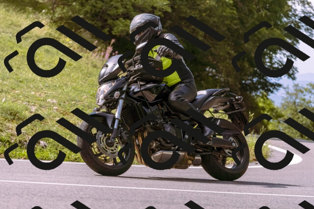 202509071109-_DSC9157_d1_