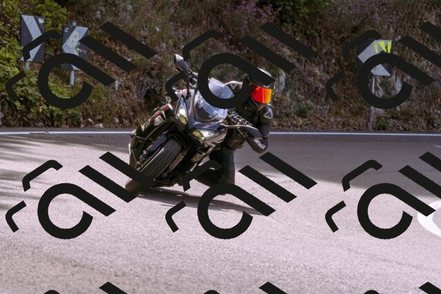 202509071113-_DSC9172_d1_