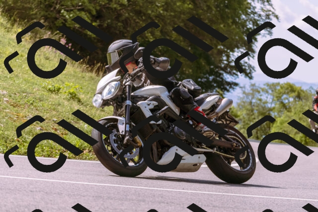 202509071125-_DSC9214_d1_