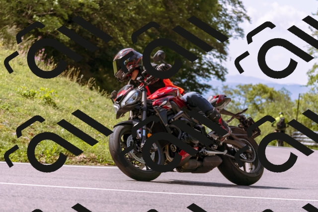 202509071126-_DSC9219_d1_