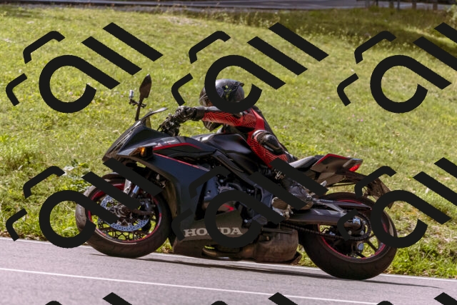 202509071132-_DSC9249_d1_