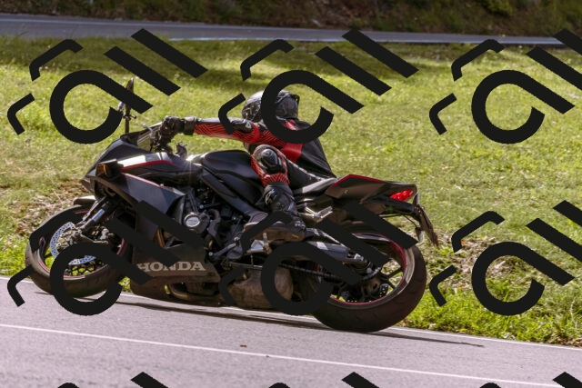 202509071132-_DSC9250_d1_