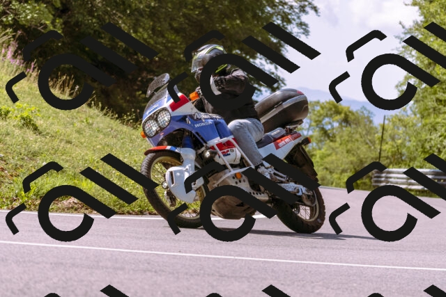 202509071133-_DSC9252_d1_