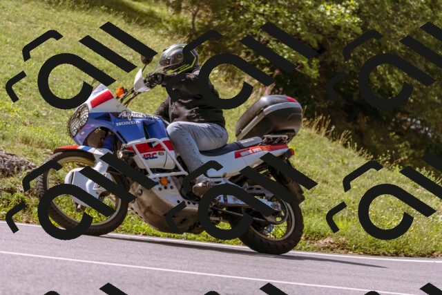 202509071133-_DSC9253_d1_