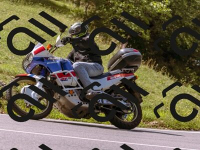 202509071133-_DSC9253_d1_