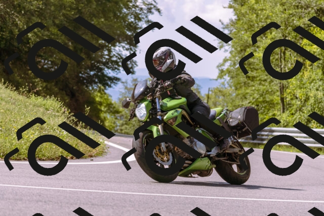 202509071133-_DSC9254_d1_