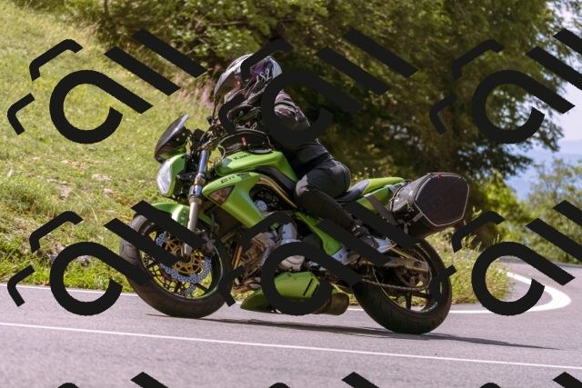 202509071133-_DSC9255_d1_