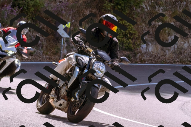 202509071136-_DSC9260_d1_