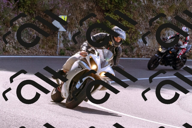 202509071136-_DSC9262_d1_