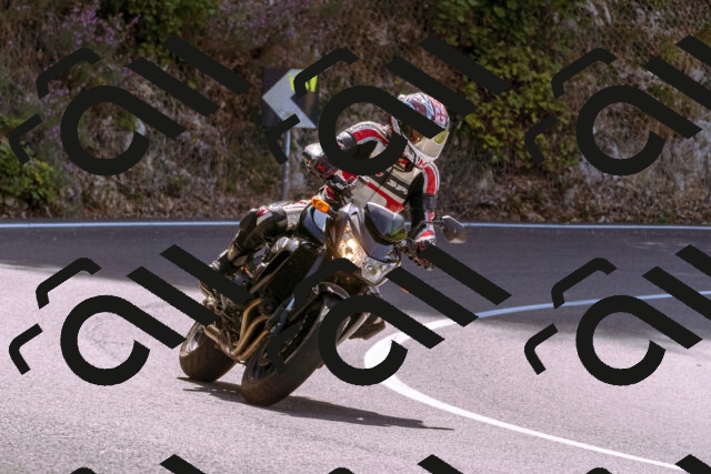 202509071136-_DSC9263_d1_