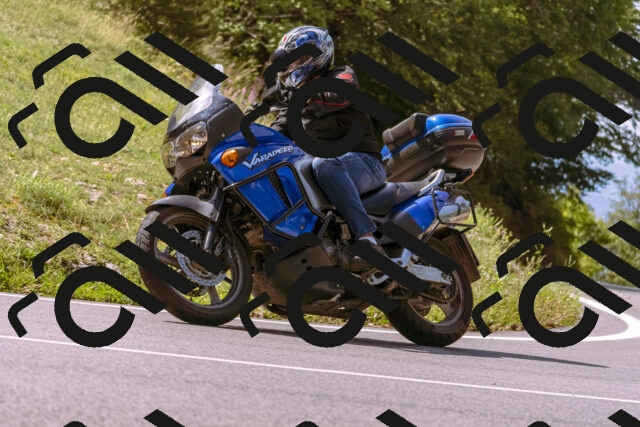 202509071136-_DSC9265_d1_