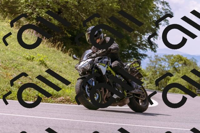 202509071137-_DSC9267_d1_