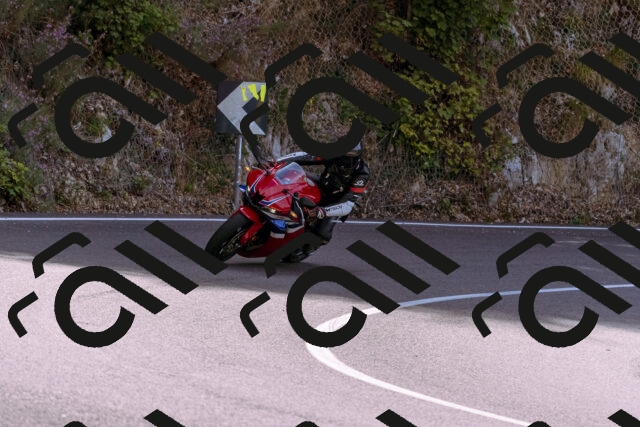 202509071137-_DSC9272_d1_