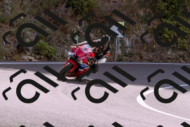 202509071137-_DSC9273_d1_