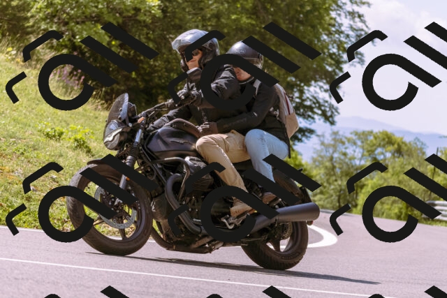 202509071146-_DSC9314_d1_