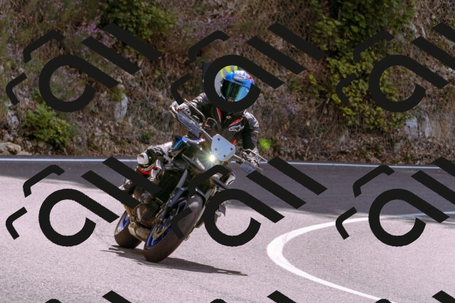 202509071149-_DSC9318_d1_