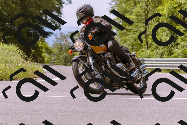 202509071153-_DSC9322_d1_