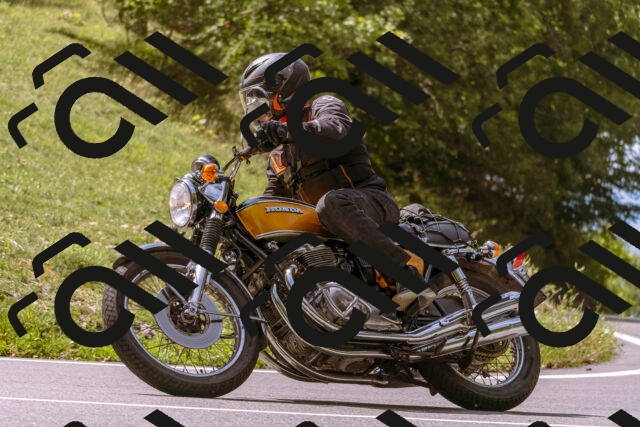 202509071153-_DSC9323_d1_