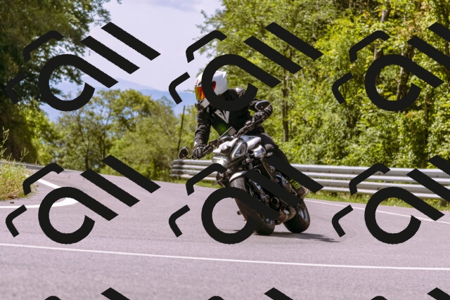 202509071155-_DSC9324_d1_