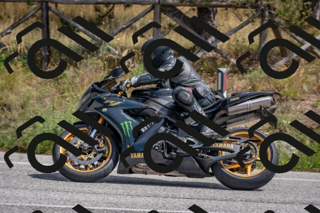 202509071309-DSC_9388_c4_