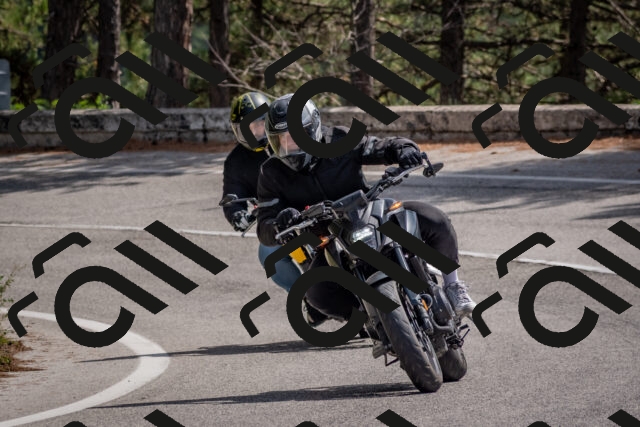 202509071310-DSC_9390_c4_